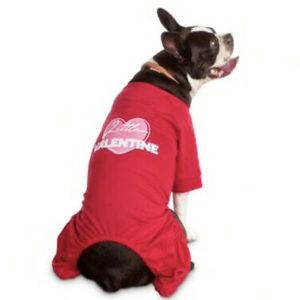 BOND‎ Red VALENTINES DAY PAJAMAS "LITTLE VALENTINE" Puppy/Dog XXSMALL